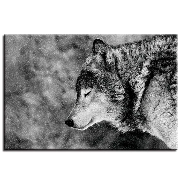 A Lonely Wolf Pattern Single Oil Painting Core