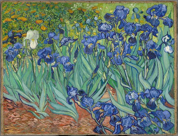 Canvas Oil Painting Art Hand Painted Irises, 1889 Vincent Van Gogh Painting Reproduction on Canvas Impressionist Unframed