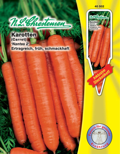 Karotten - Nantes 2 / Daucus carota