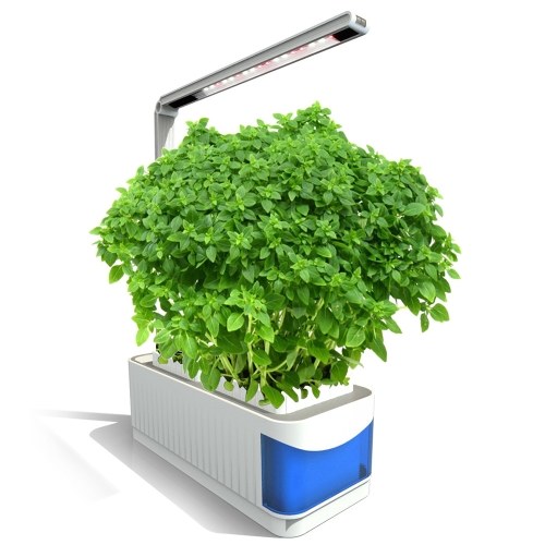 Smart Indoor Herb Gardening Planter Light Kit Hydroponic