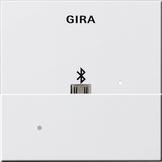 GIRA - System 55 - Dockingstation USB Mikro B *reinweiß matt* (228527)