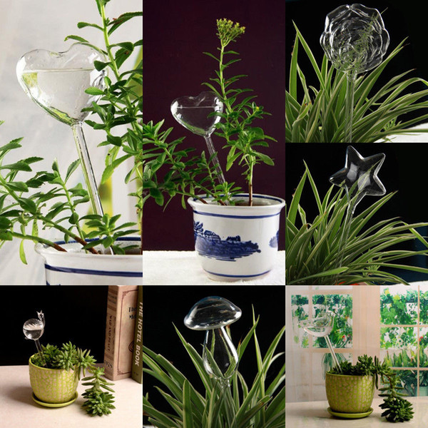 6 types glass plant flowers water feeder self watering bird design plant automatic watering device
