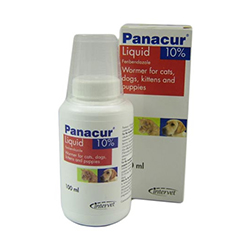 Panacur Oral Suspension For Dogs/Cats 100 Ml