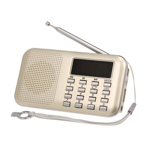 Y-896 Mini FM Radio digital portátil de 3W altavoz estéreo