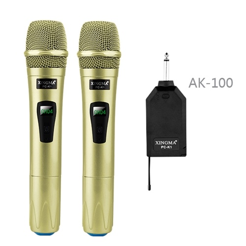 Drahtloses Mikrofonsystem Handheld-LED-Mikrofonlautsprecher mit tragbarem USB-Empfänger für die Aufnahme von KTV-Sprachverstärkern