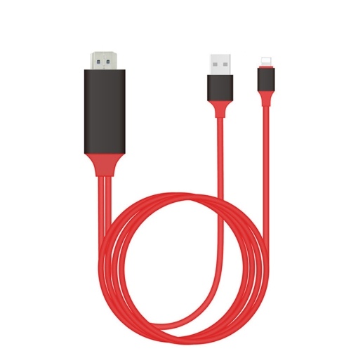 Cordon adaptateur