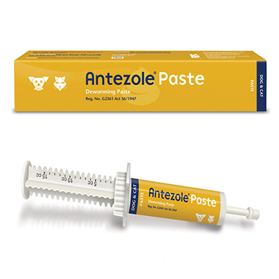 Antezole Paste For Dogs And Cats 30 Ml