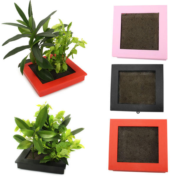 Soilless Culture Nutrition Carbon Mud Sponge Plant Growth Flower Pot with Photo Frame