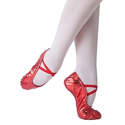 Girls' Ballet Shoes Practice Trainning Dance Shoes  Red Ballet Pumps Training Performance Practice Professional Flat Heel Round Toe Gold Red Silver Elastic Band Slip-on Kid's Lightinthebox