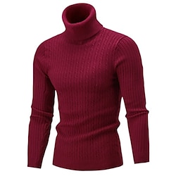 Men's Sweater Turtleneck Sweater Pullover Knit Knitted Braided Solid Color Turtleneck Vintage Style Soft Home Daily Clothing Apparel Winter Fall Black Wine S M L miniinthebox