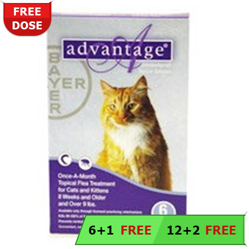 Advantage Cats Over 10lbs (Purple) 6 + 1 Free
