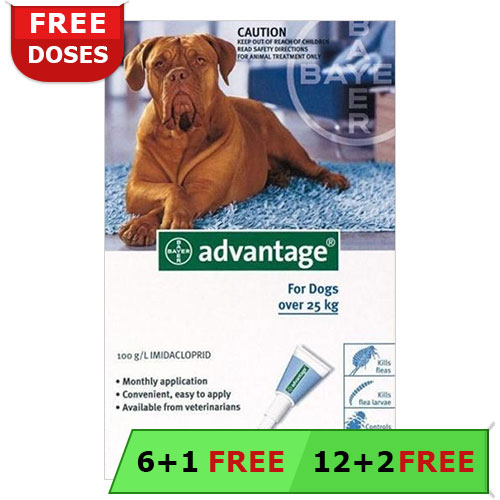 Advantage Extra Large Dogs Over 55 Lbs (Blue) 12 + 2 Free