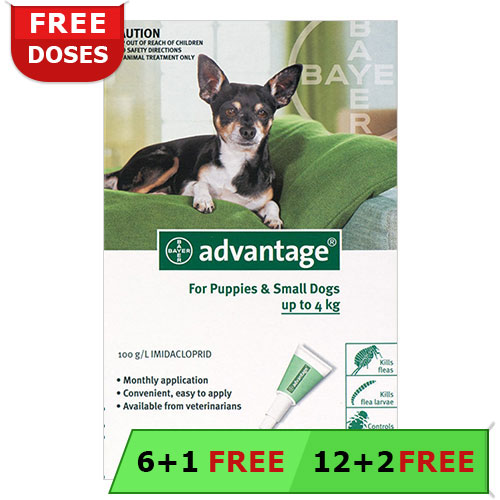 Advantage Small Dogs/ Pups 1-10lbs (Green) 12 + 2 Free