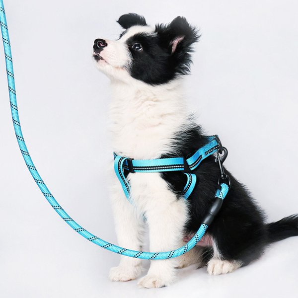 5 Colors Nylon Reflective Hauling Cable Braided Pet Leashes Round Dog Training Running Leash for Sale