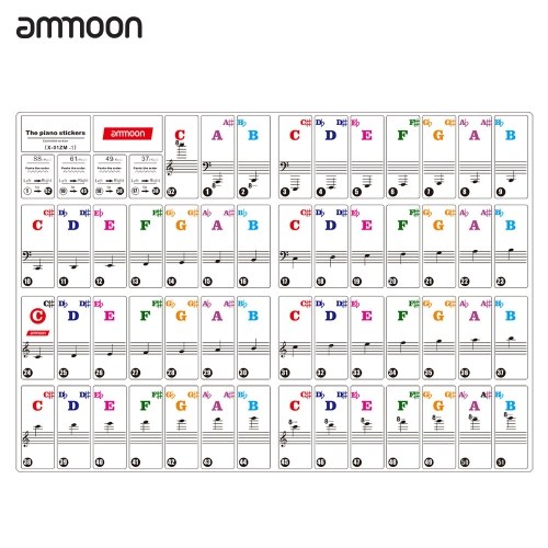 ammoon Colored Piano Keyboard Stickers for 37/ 49/ 61/ 88 Key Keyboards Removable Transparent for Kids Beginners Piano Practice Learning