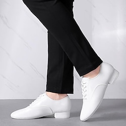 Men's Latin Shoes Dance Shoes Party Prom Ballroom Dance Simple Style Flat Heel Low Heel Lace-up Black White Lightinthebox