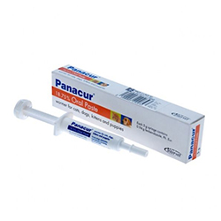 Panacur Oral Paste For Dogs And Cats 1 Pack