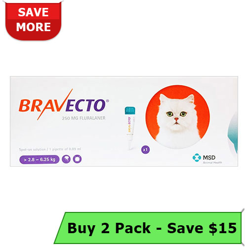Bravecto Spot On For Medium Cats 6.2 Lbs - 13.8 Lbs (Orange) 250 Mg 2 Pack